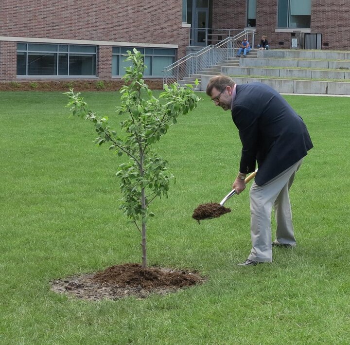 Tim planting a tree